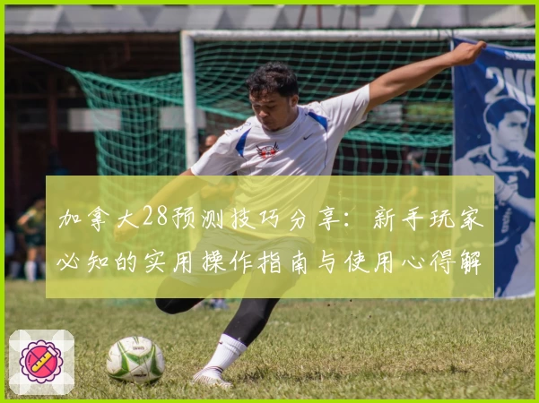 加拿大28预测技巧分享：新手玩家必知的实用操作指南与使用心得解析