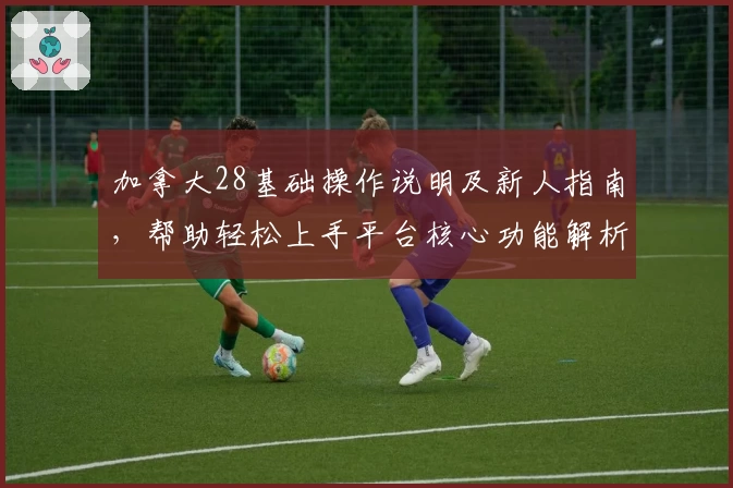 加拿大28基础操作说明及新人指南，帮助轻松上手平台核心功能解析