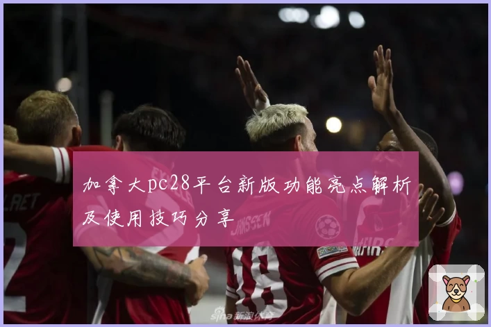 加拿大pc28平台新版功能亮点解析及使用技巧分享