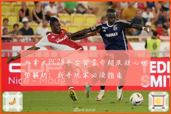 加拿大PC28平台背景介绍及核心优势解析：新手玩家必读指南