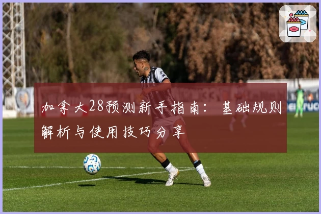 加拿大28预测新手指南：基础规则解析与使用技巧分享