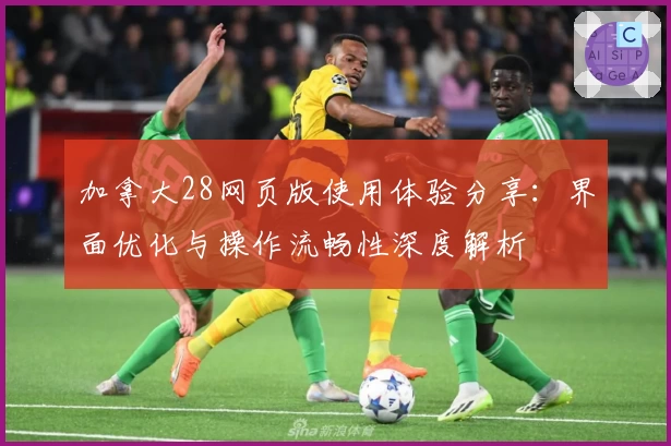 加拿大28网页版使用体验分享：界面优化与操作流畅性深度解析