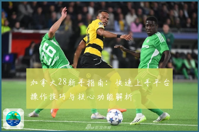 加拿大28新手指南：快速上手平台操作技巧与核心功能解析