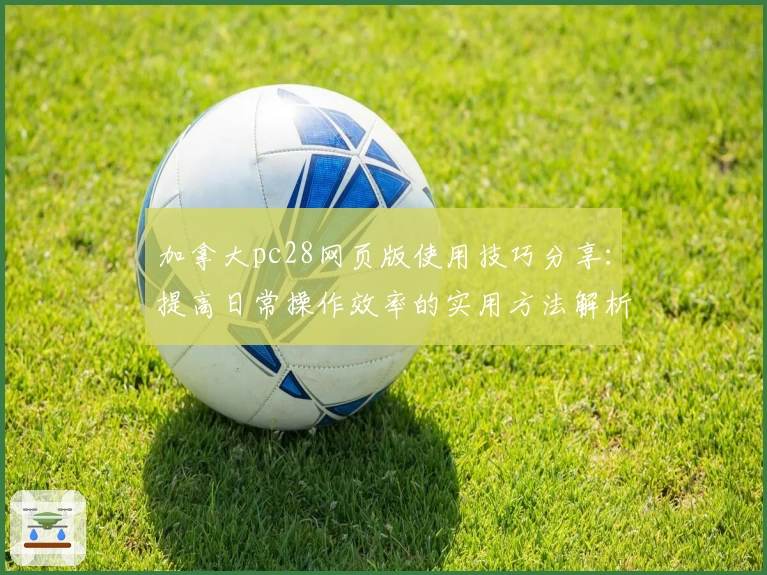 加拿大pc28网页版使用技巧分享：提高日常操作效率的实用方法解析