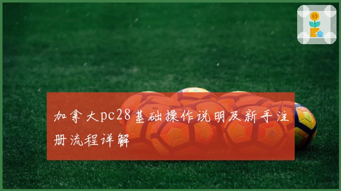 加拿大pc28基础操作说明及新手注册流程详解