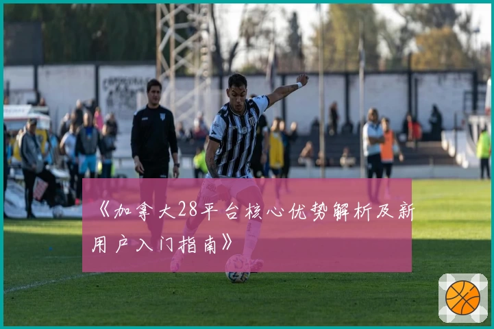 《加拿大28平台核心优势解析及新用户入门指南》