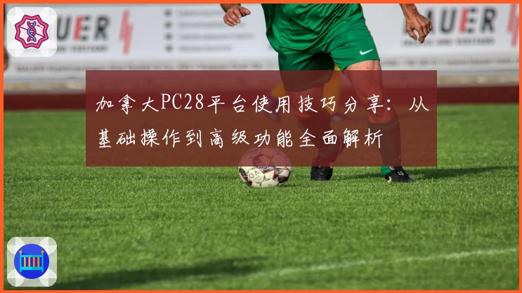 加拿大PC28平台使用技巧分享：从基础操作到高级功能全面解析